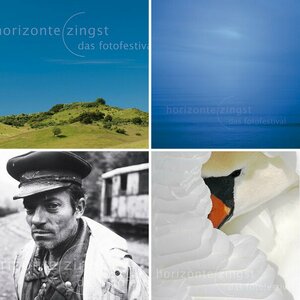 Ausstellungen Jahresprogramm