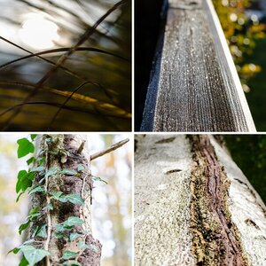 Natur