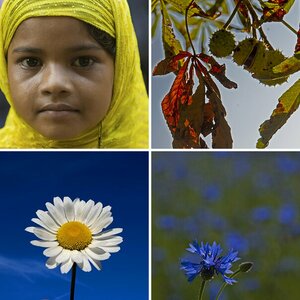 Blumen