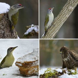 Winteransitz 2012/13-3