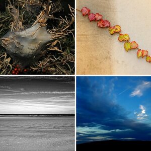 Landschaft / Natur