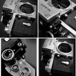 Nikon F