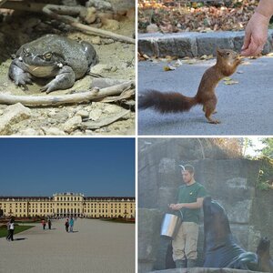 Tiergarten Schönbrunn