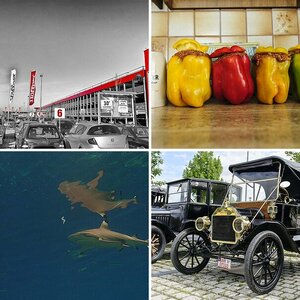 fotos beitrag
