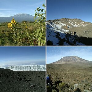 Kilimanjaro