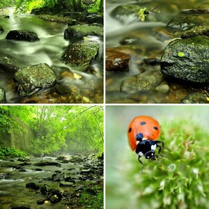 Natur