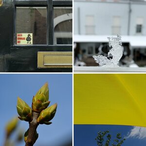 Quer durch den Gemüsegarten