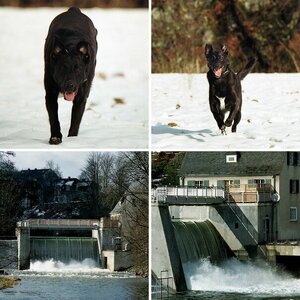 Film Paradies - Entwicklung bei DM