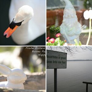 Diverses