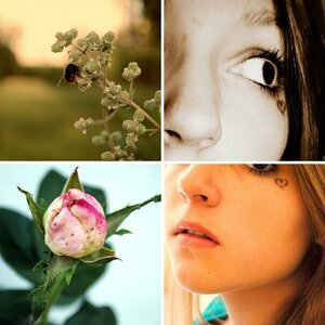 SandraPhotography
