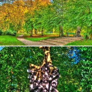 HDRI