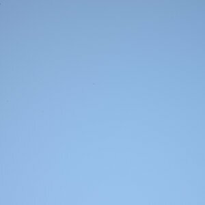 D600 verdreckter Sensor