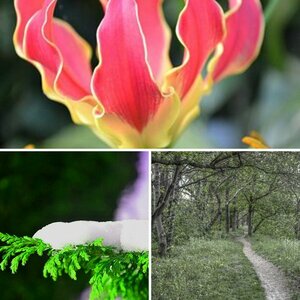 Natur