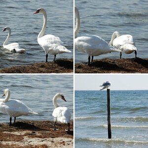 Ostsee