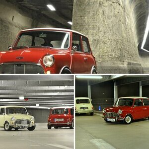 MINI pics