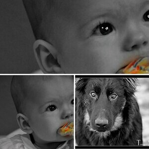 Meine Fotografien