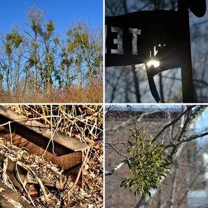 Erste Testbilder