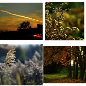 Herbst 2011