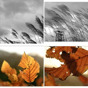 Herbst