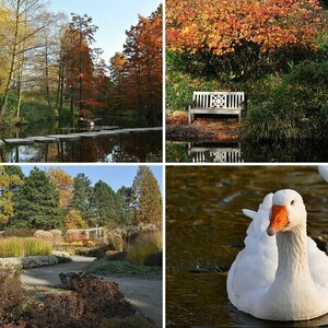 Farbenpracht im Westfalenpark