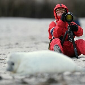 Helgoland, Winter 2012/2013