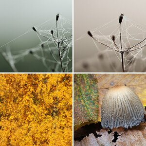 Herbst