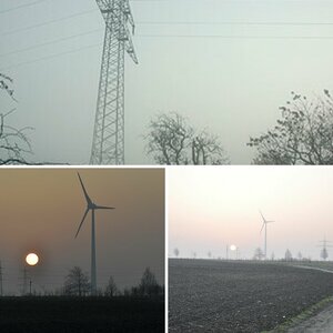 Beispielbilder