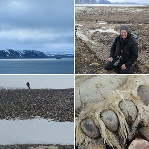 Spitzbergen – Eisbären-Special 2012