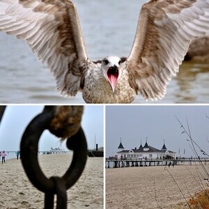Usedom
