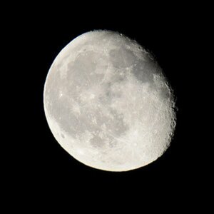 Mond