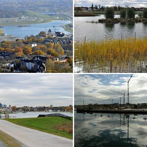 Phoenixsee 2011