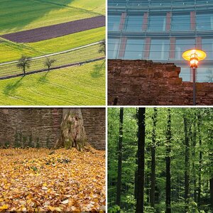 Bilder