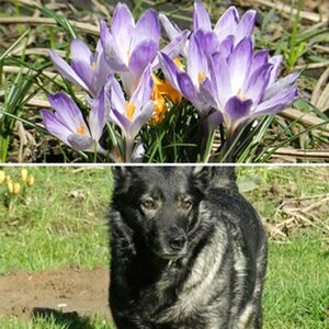 Testfotos einer Anfängerin