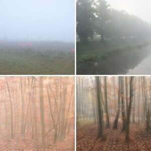 Herbst