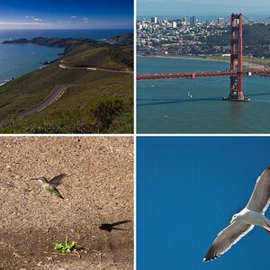 SF