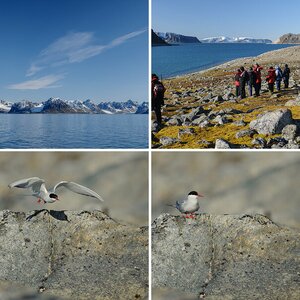Spitzbergen – Eisbären-Special 2012 (2)