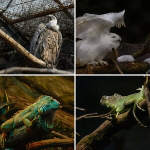 Zoo Halle