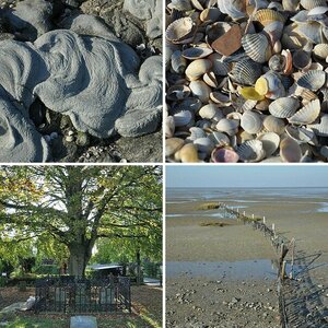 Diverses II