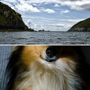 Irland