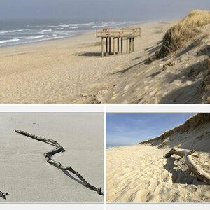 Sylt