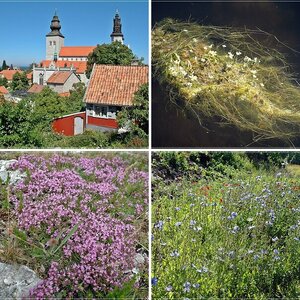 Schweden 2012 II