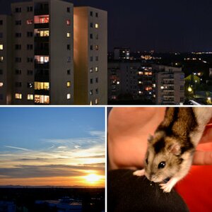 Erste Bilder