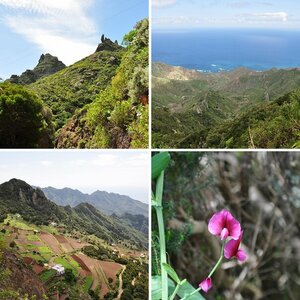 Wanderbares Teneriffa