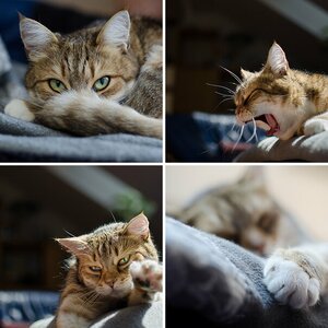 Test unso