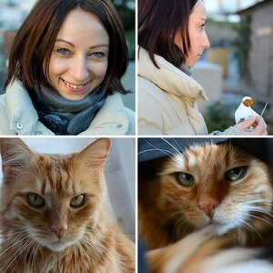 Testfotos mit diversen Objektiven und D3100