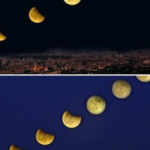 Mond