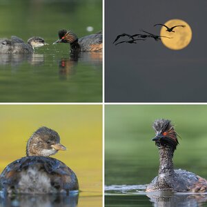 meine besten Bilder 2011
