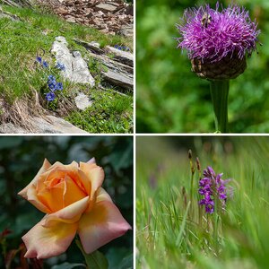 Frühling/Sommer