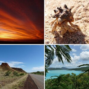 naturfotografie
