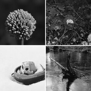 b/w